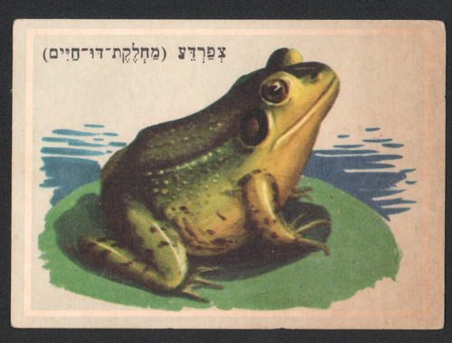 Jeu cartes grenouille - jeu,